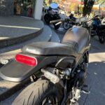 LEONCINO 500 full